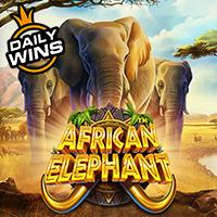rtp slot hari ini Bigwin919 African Elephant