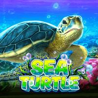 Sea Turtle Suntik Rtp Slot Terbaik 2025 GMW